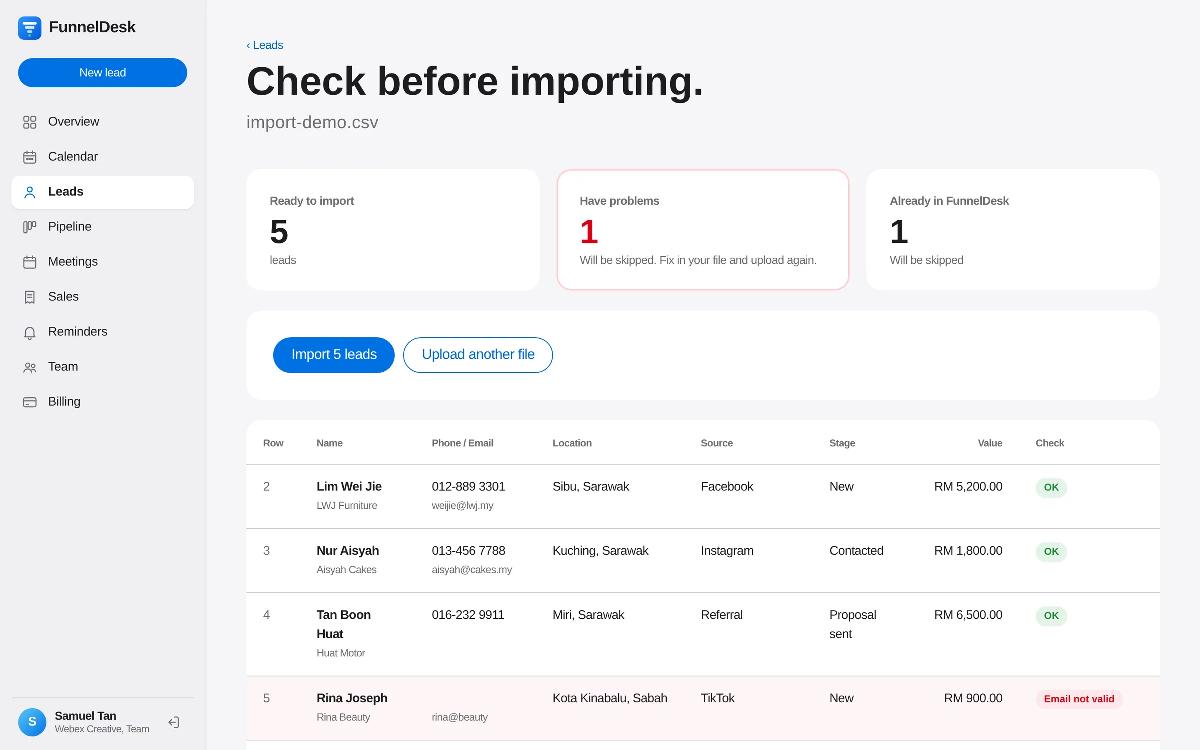 Import preview showing leads ready to import, rows with problems and duplicates